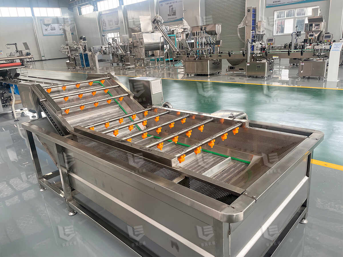 Bubble fruit and vegetable washing machine (1)
