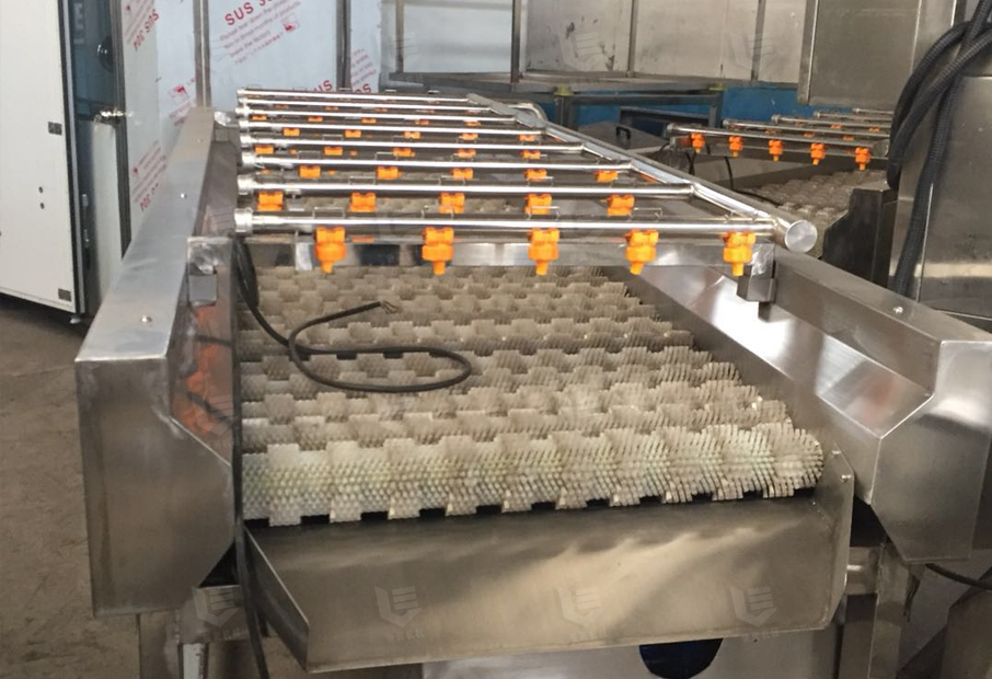 Brush-roller-washing-machine-1