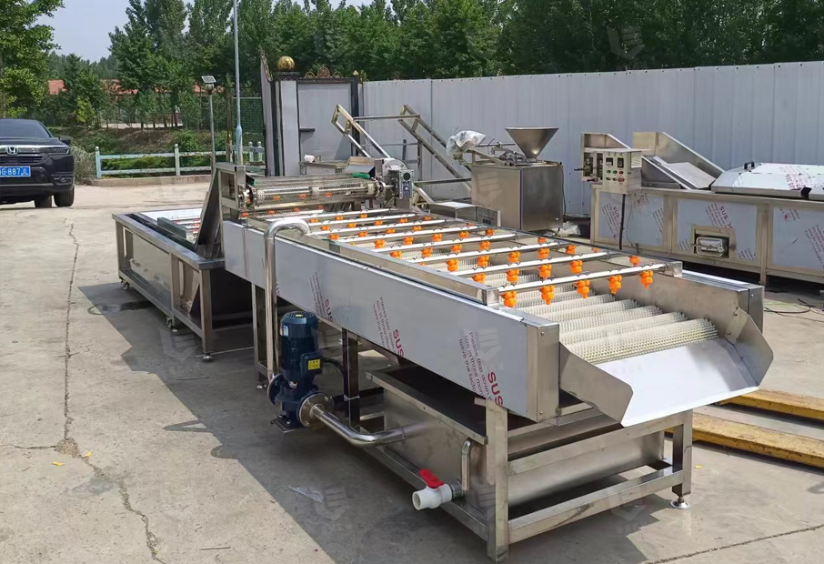 Brush-roller-washing-machine-2