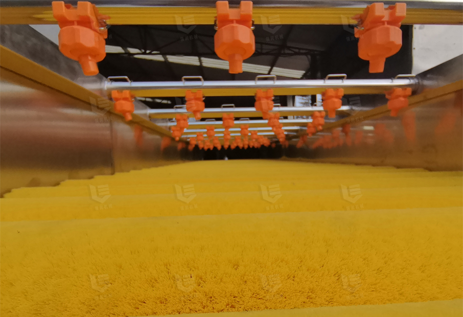 Brush-roller-washing-machine-3